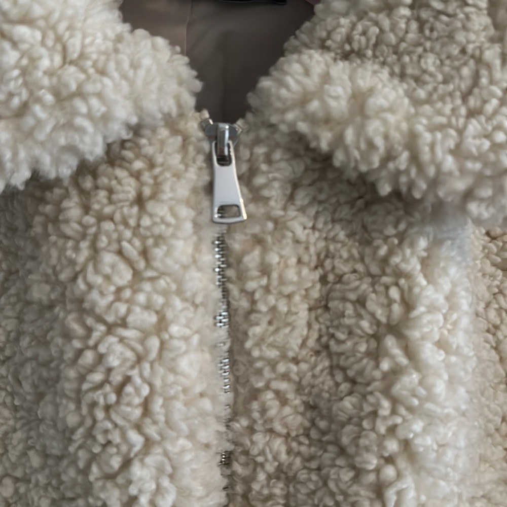 Shearling Collared Zip Jacket - Picture 4 of 7